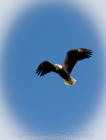 about to land