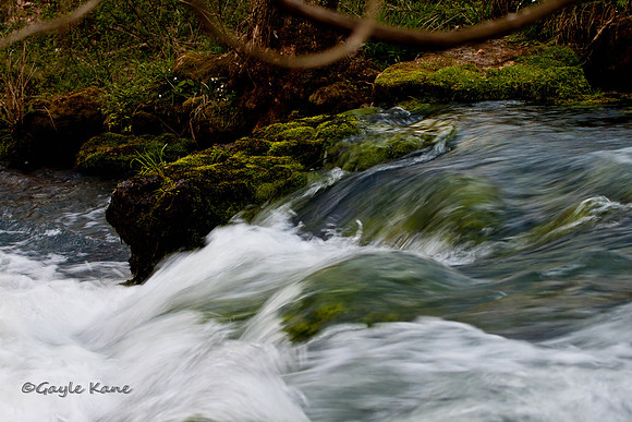 Rushing