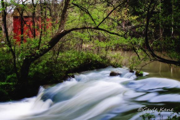 Silken Rush