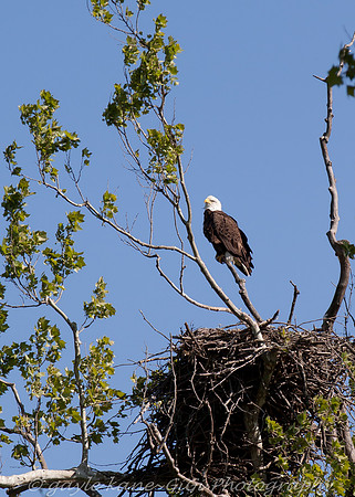 watching over baby