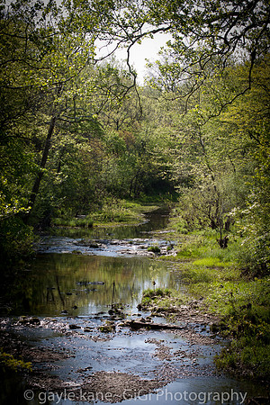 Eagles creek